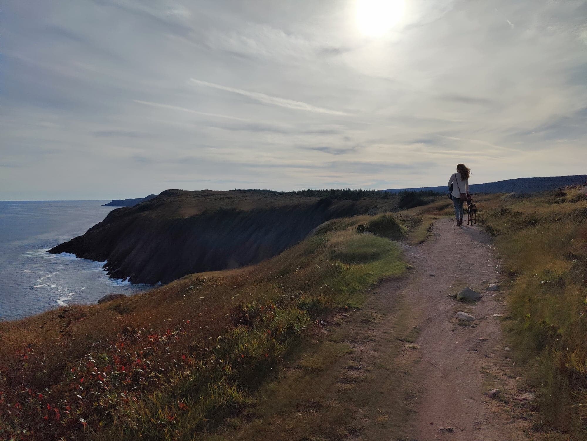 Cliffs and ocean